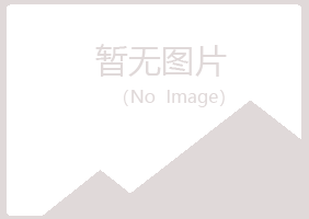 宝山区匆匆水泥有限公司